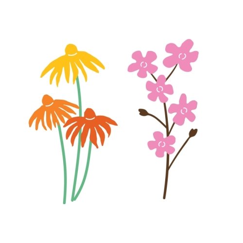 digital illustration 